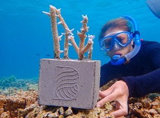 Помогайте коралловым рифам вместе с Baros Maldives