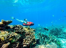 Курорт Sheraton Maldives Full Moon Resort & Spa представляет программу сохранения коралловых рифов в рамках кампании «Путешествовать полезно с Marriott Bonvoy»