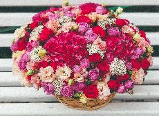Руководство покупки цветов через Инстаграм или как не попасть впросак